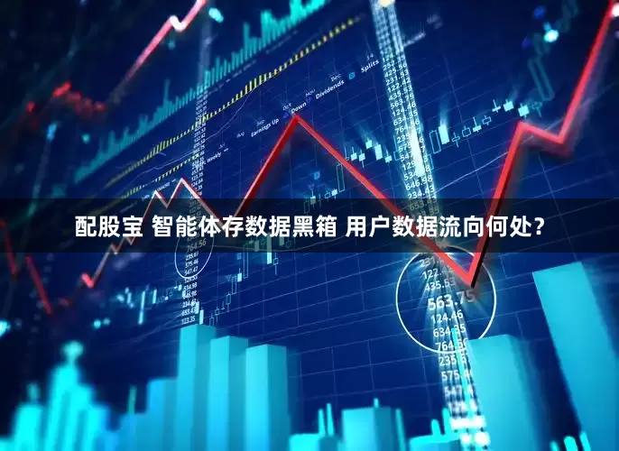 配股宝 智能体存数据黑箱 用户数据流向何处？