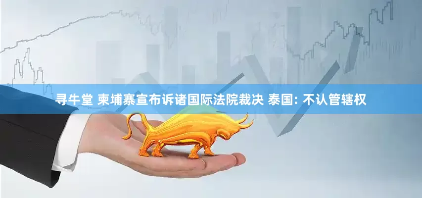 寻牛堂 柬埔寨宣布诉诸国际法院裁决 泰国: 不认管辖权