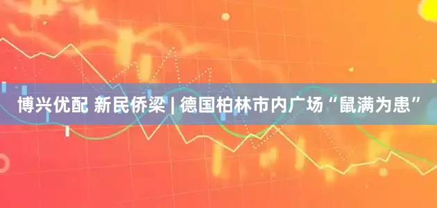 博兴优配 新民侨梁 | 德国柏林市内广场“鼠满为患”