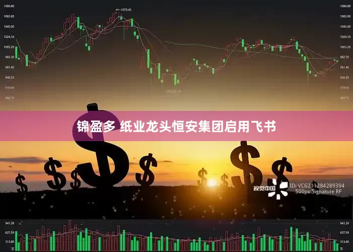 锦盈多 纸业龙头恒安集团启用飞书