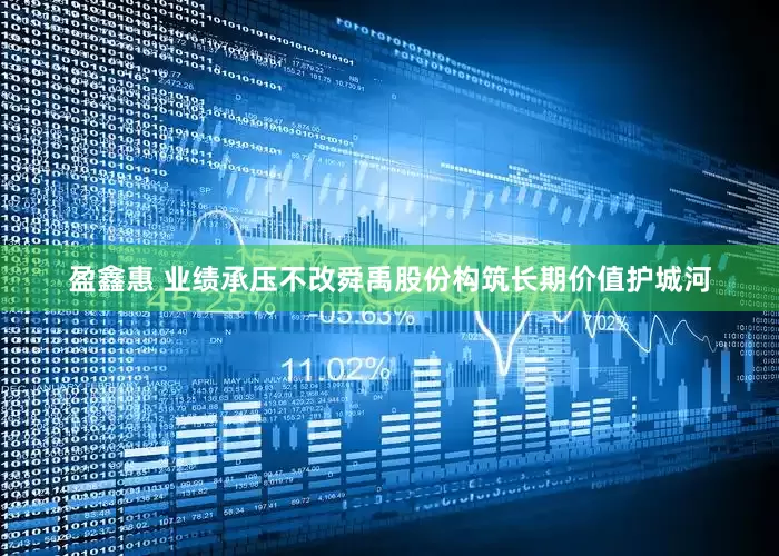 盈鑫惠 业绩承压不改舜禹股份构筑长期价值护城河